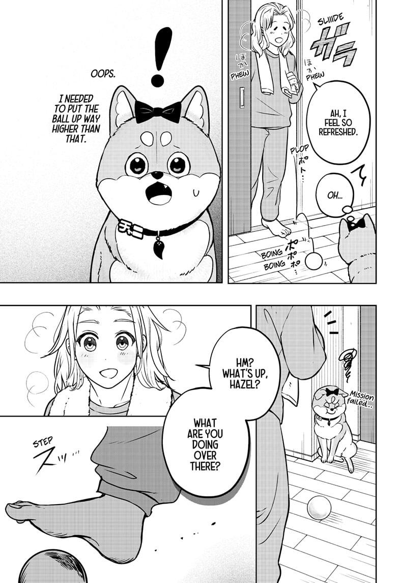 Shiba Inu Rooms Chap 33 - Next Chap 34