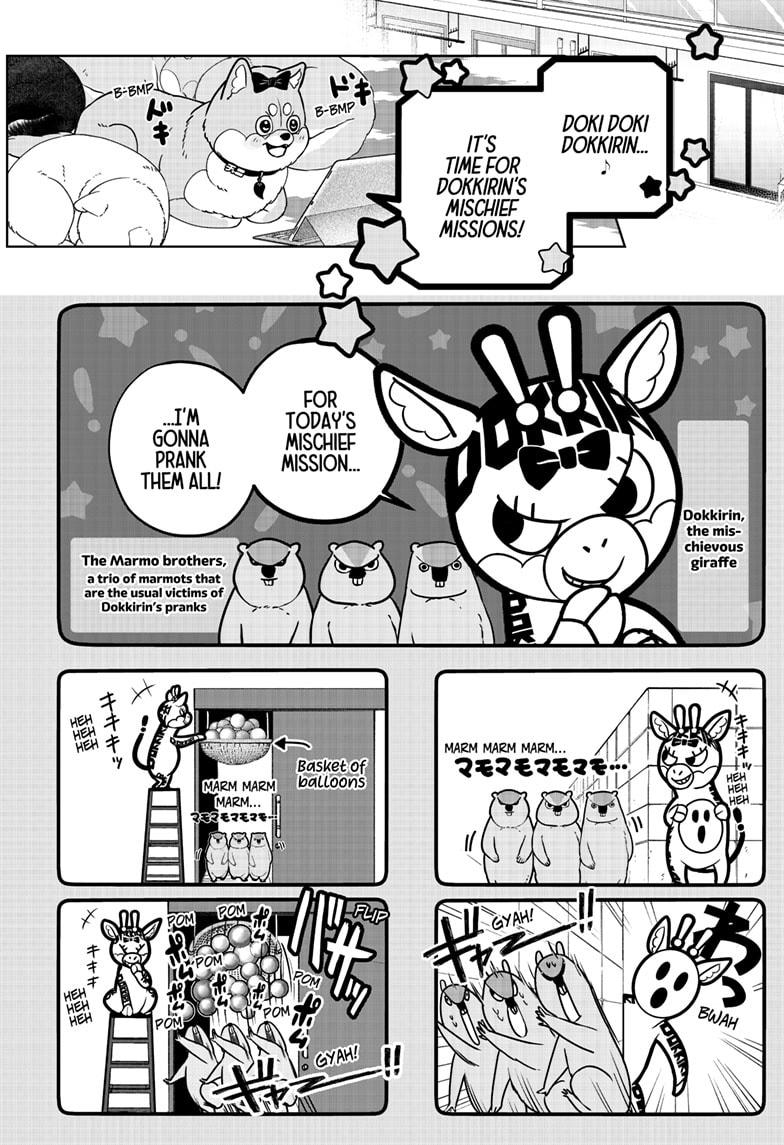 Shiba Inu Rooms Chap 33 - Next Chap 34