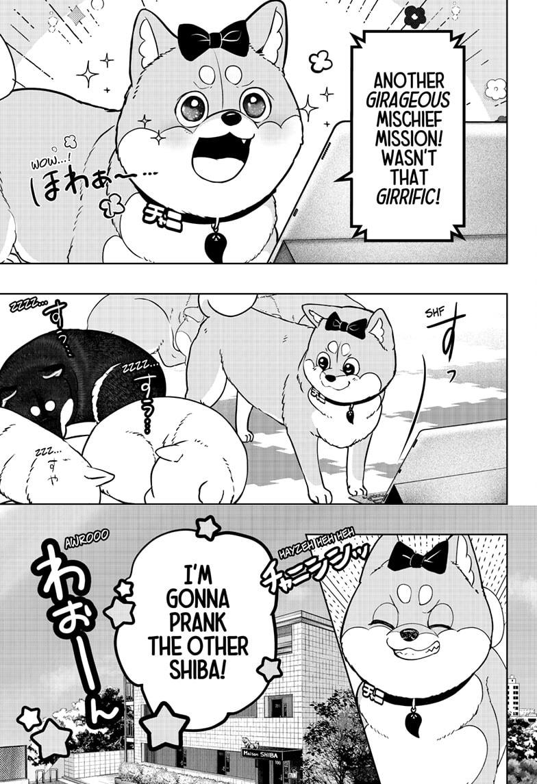 Shiba Inu Rooms Chap 33 - Next Chap 34