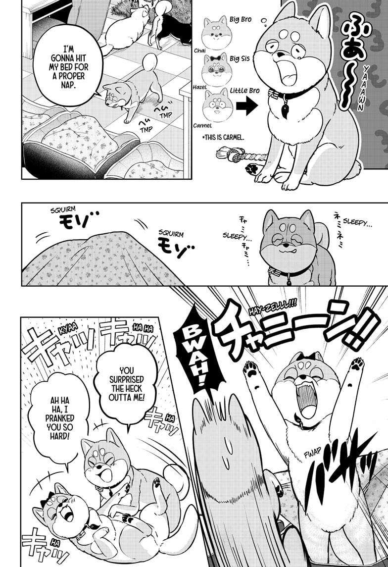 Shiba Inu Rooms Chap 33 - Next Chap 34