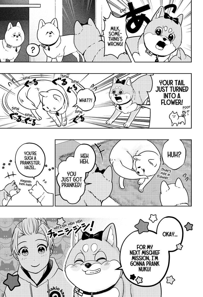 Shiba Inu Rooms Chap 33 - Next Chap 34