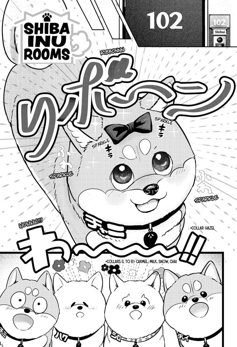 Shiba Inu Rooms Chap 33 - Next Chap 34