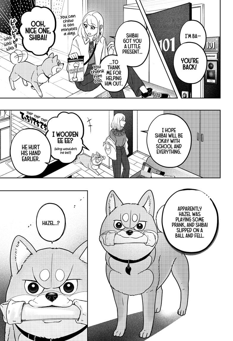 Shiba Inu Rooms Chap 33 - Next Chap 34