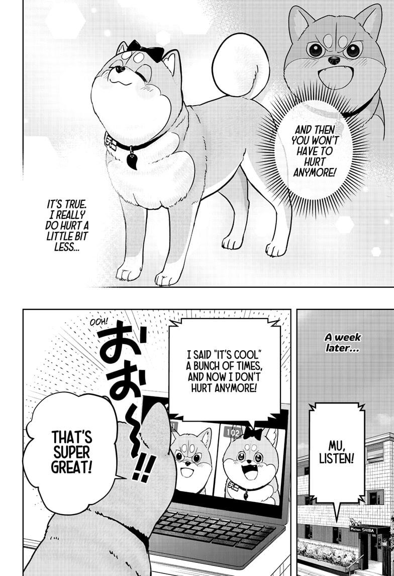 Shiba Inu Rooms Chap 33 - Next Chap 34