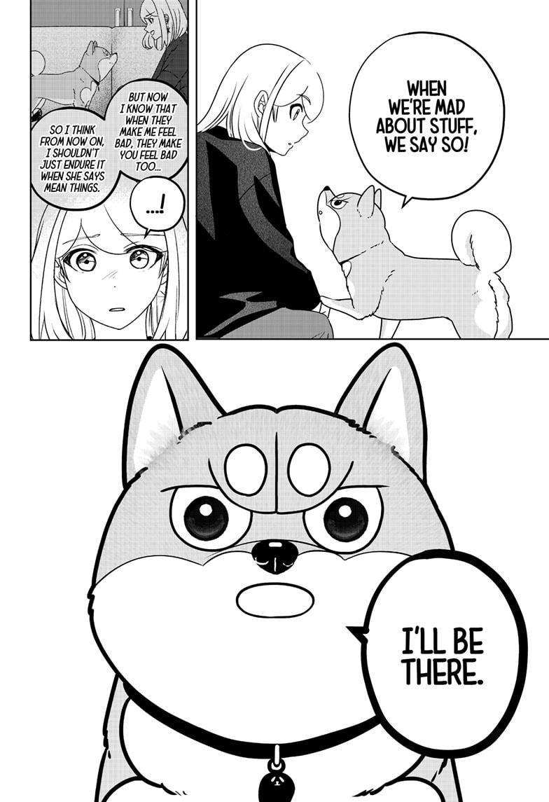 Shiba Inu Rooms Chap 47 - Next Chap 48