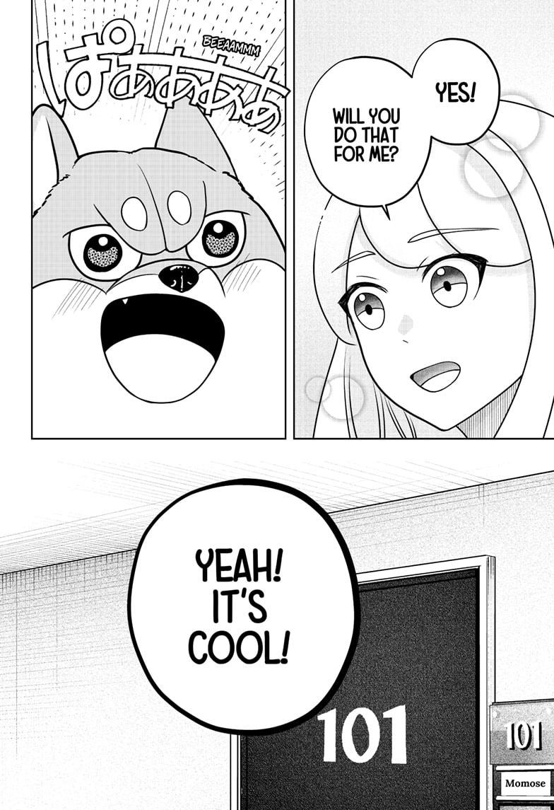 Shiba Inu Rooms Chap 47 - Next Chap 48
