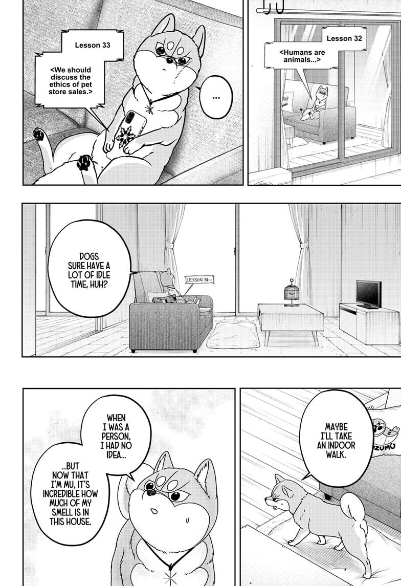 Shiba Inu Rooms Chap 44 - Next Chap 45