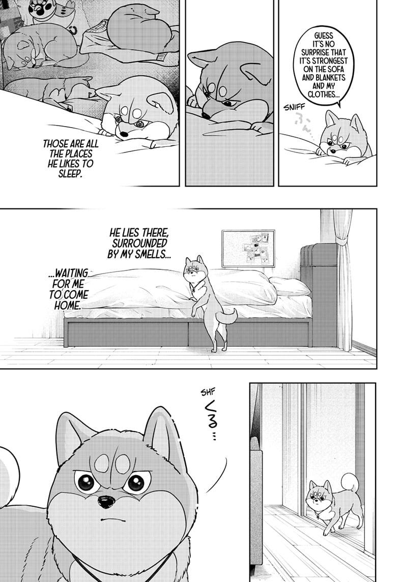 Shiba Inu Rooms Chap 44 - Next Chap 45