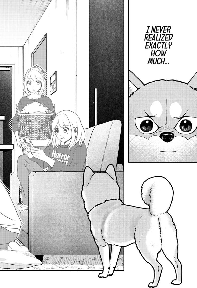 Shiba Inu Rooms Chap 44 - Next Chap 45