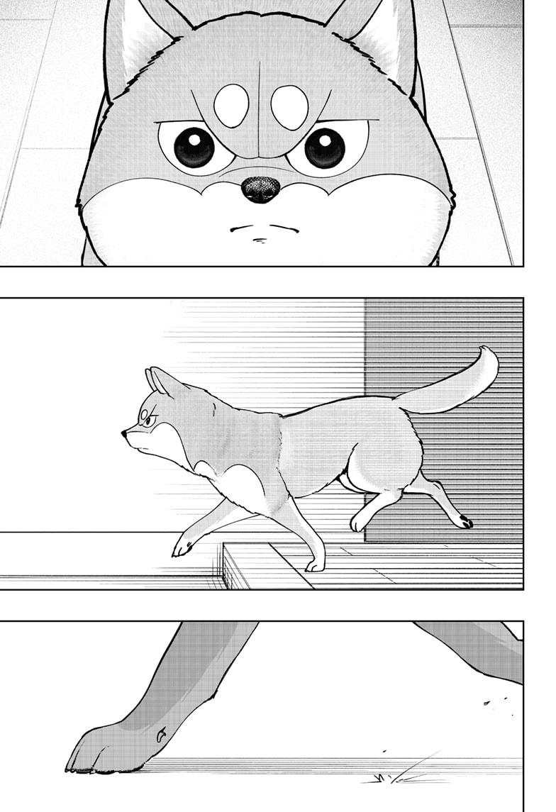 Shiba Inu Rooms Chap 44 - Next Chap 45
