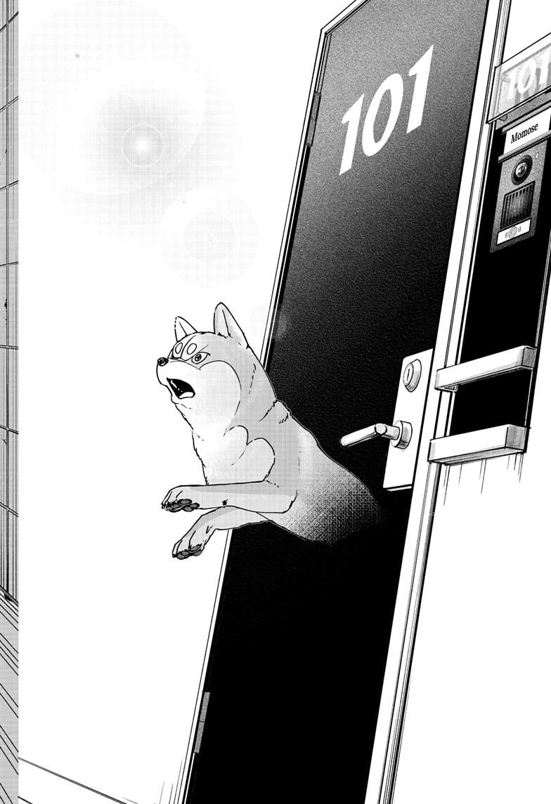 Shiba Inu Rooms Chap 44 - Next Chap 45