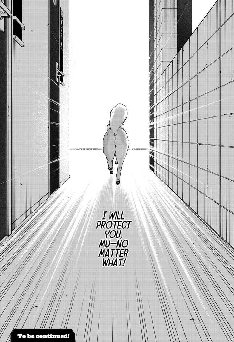 Shiba Inu Rooms Chap 44 - Next Chap 45