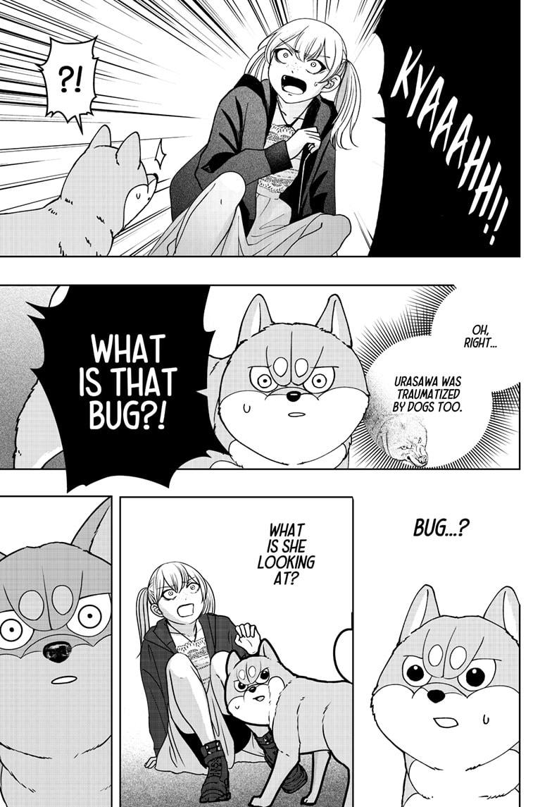 Shiba Inu Rooms Chap 45 - Next Chap 46