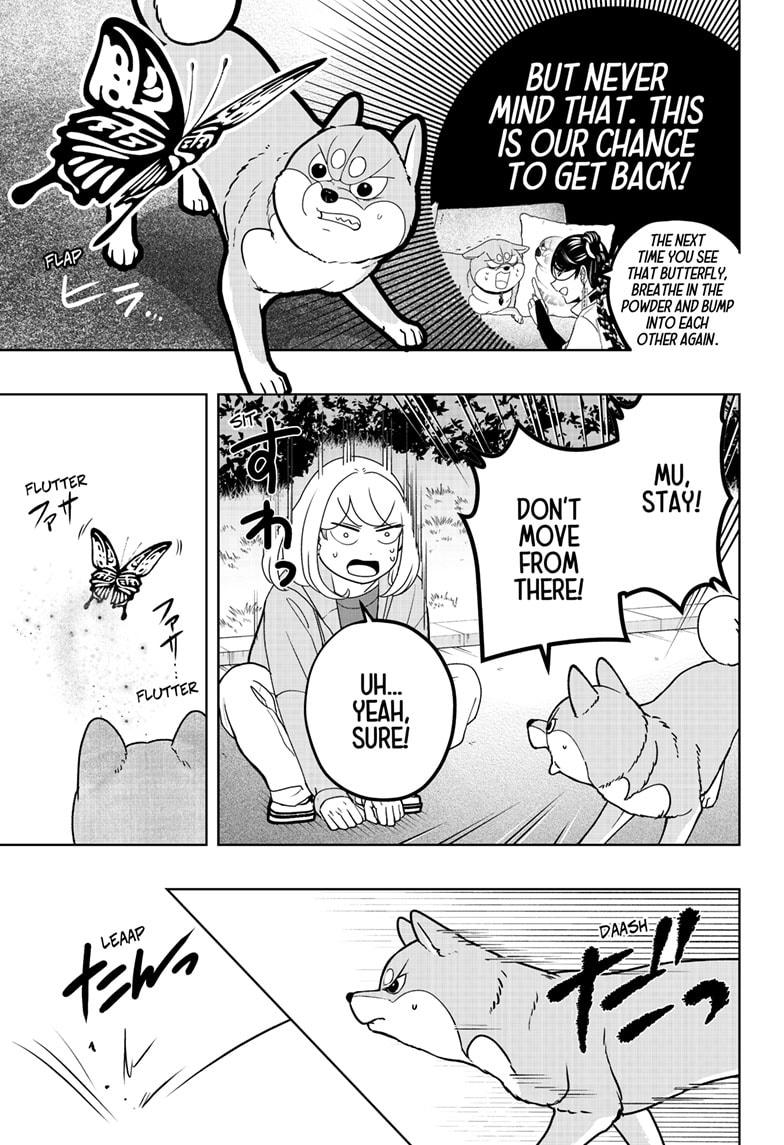 Shiba Inu Rooms Chap 45 - Next Chap 46