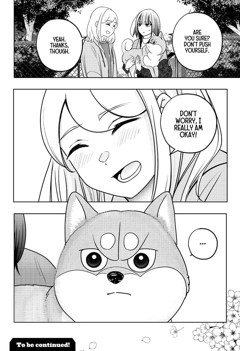 Shiba Inu Rooms Chap 45 - Next Chap 46