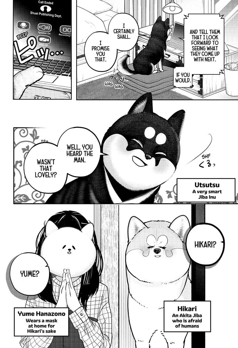 Shiba Inu Rooms Chap 40 - Next Chap 41