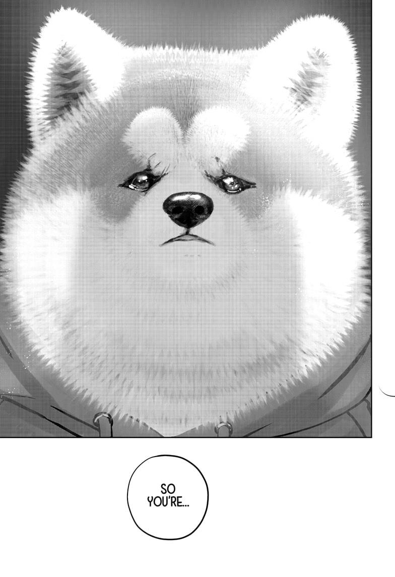 Shiba Inu Rooms Chap 40 - Next Chap 41