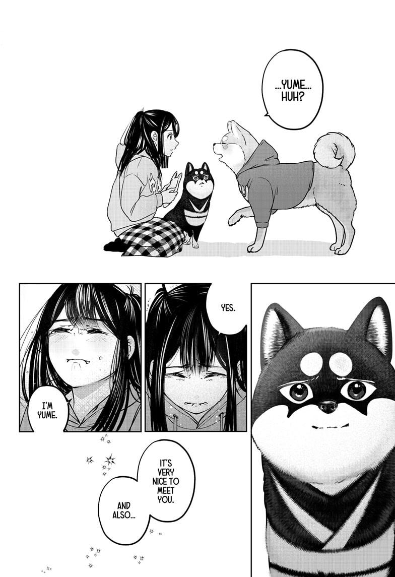 Shiba Inu Rooms Chap 40 - Next Chap 41