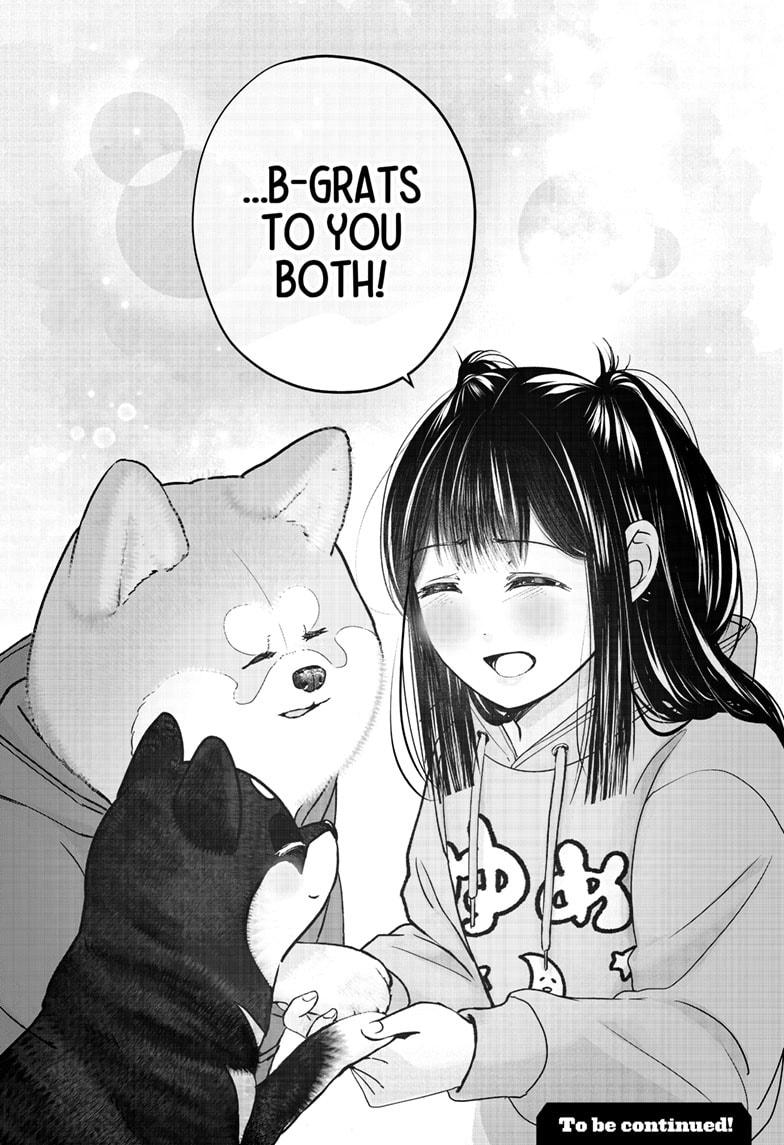 Shiba Inu Rooms Chap 40 - Next Chap 41