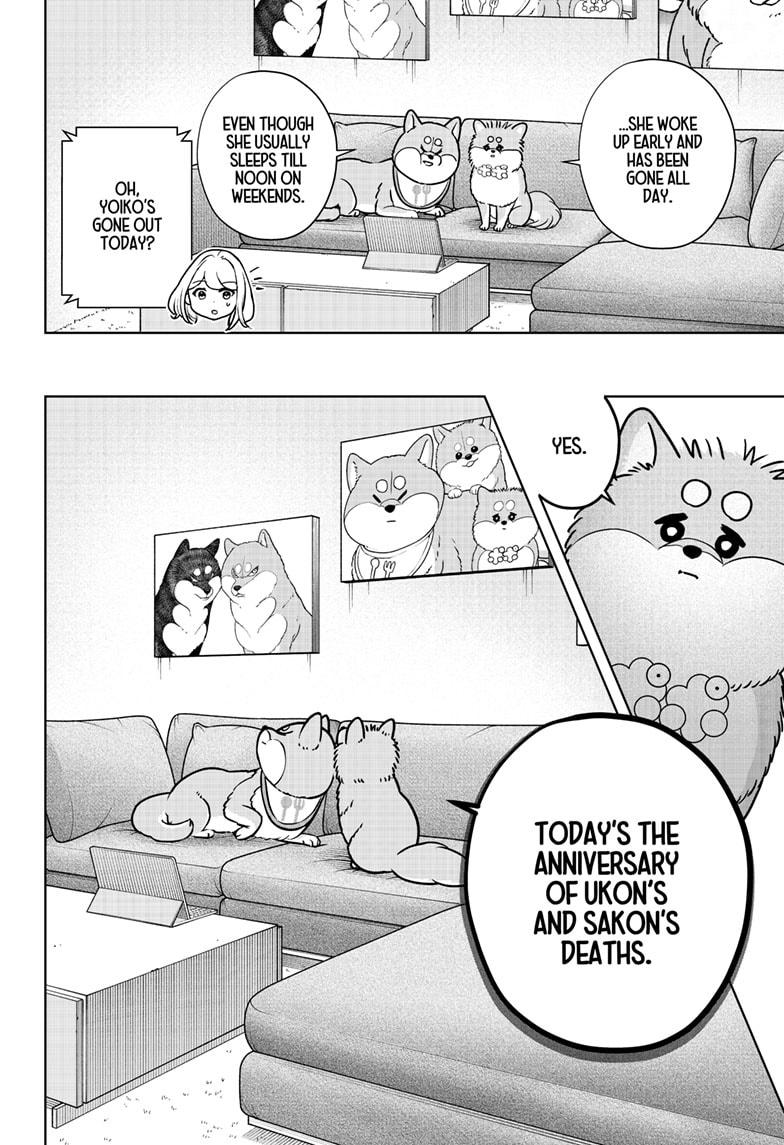 Shiba Inu Rooms Chap 41 - Next Chap 42