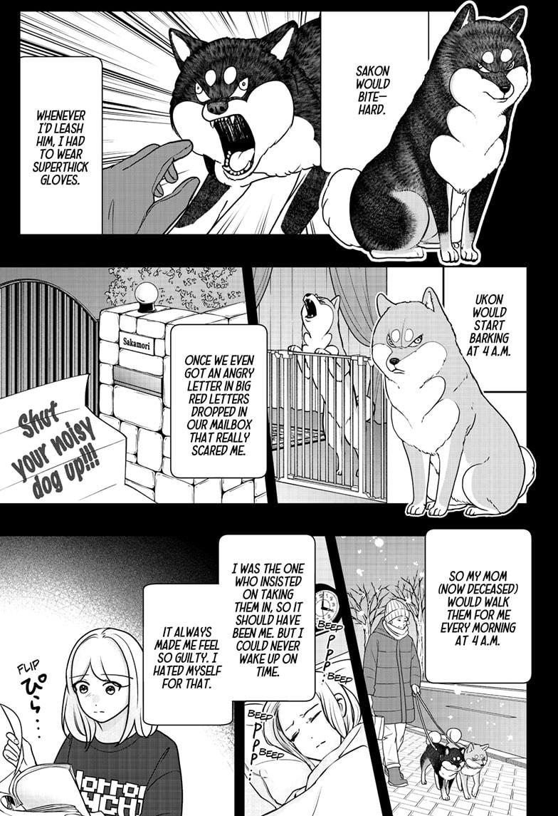 Shiba Inu Rooms Chap 41 - Next Chap 42