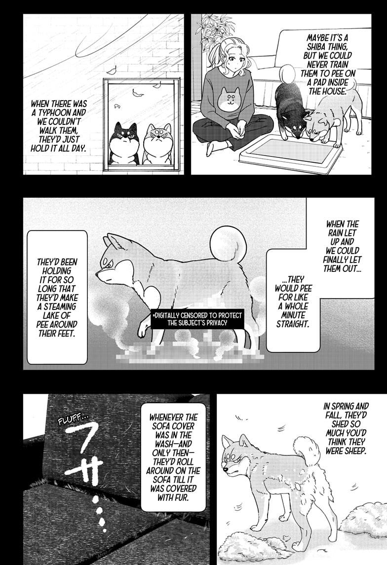 Shiba Inu Rooms Chap 41 - Next Chap 42