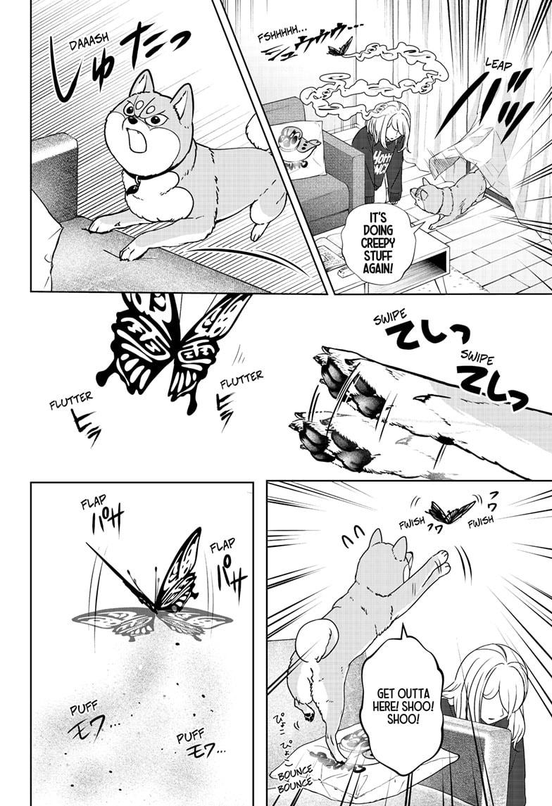 Shiba Inu Rooms Chap 42 - Next Chap 43