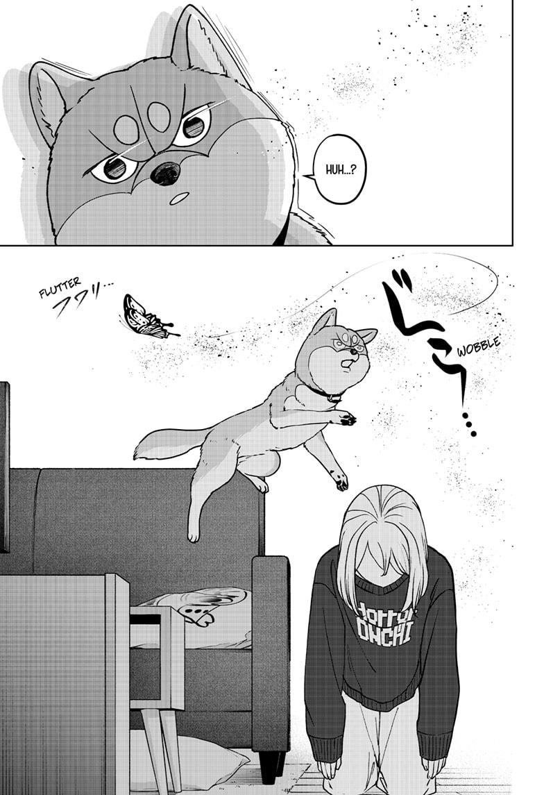 Shiba Inu Rooms Chap 42 - Next Chap 43