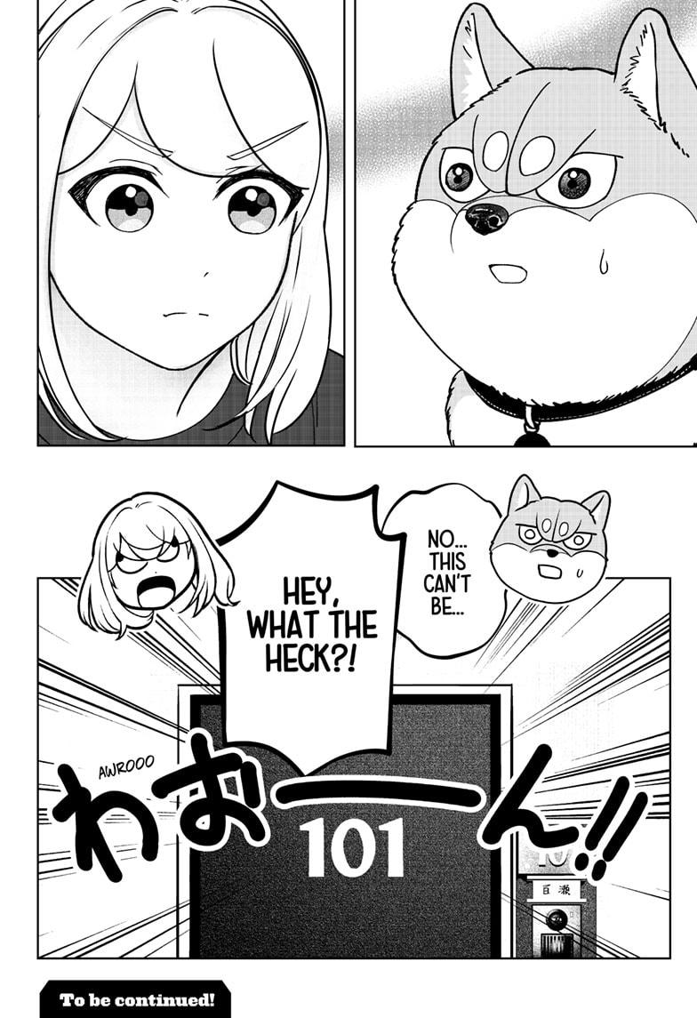 Shiba Inu Rooms Chap 42 - Next Chap 43