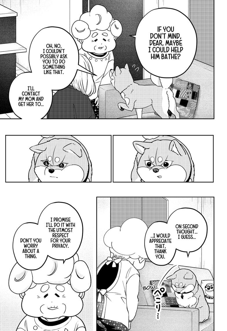Shiba Inu Rooms Chap 43 - Next Chap 44