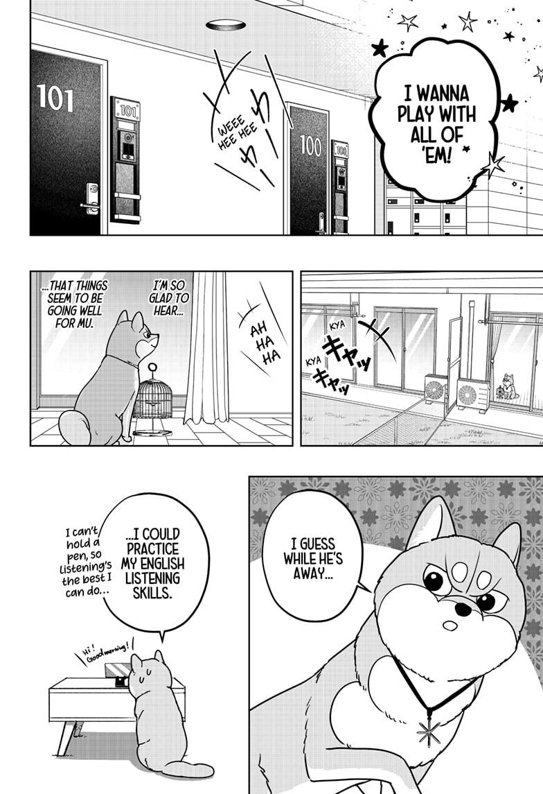 Shiba Inu Rooms Chap 43 - Next Chap 44