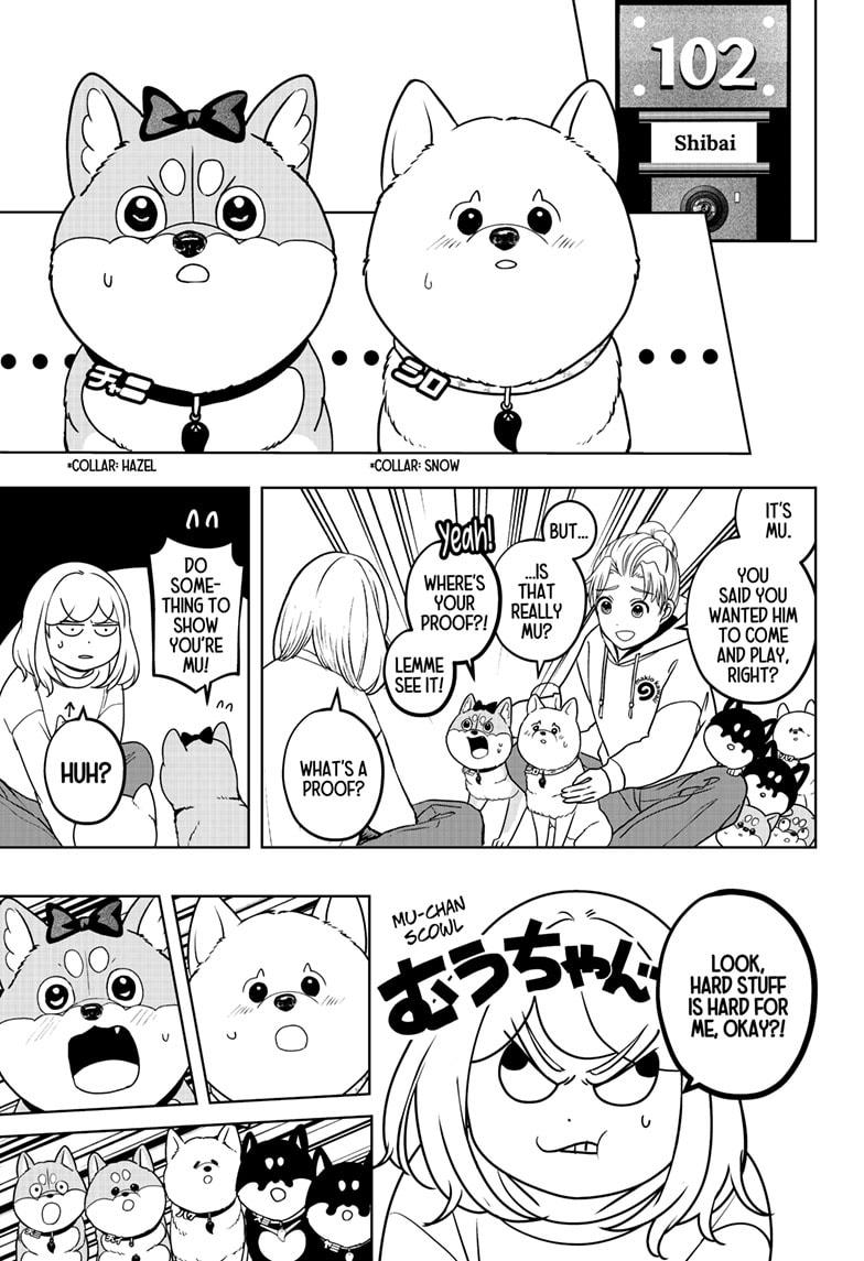 Shiba Inu Rooms Chap 43 - Next Chap 44