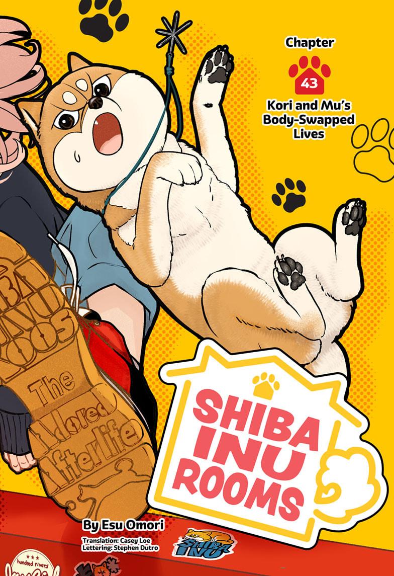 Shiba Inu Rooms Chap 43 - Next Chap 44