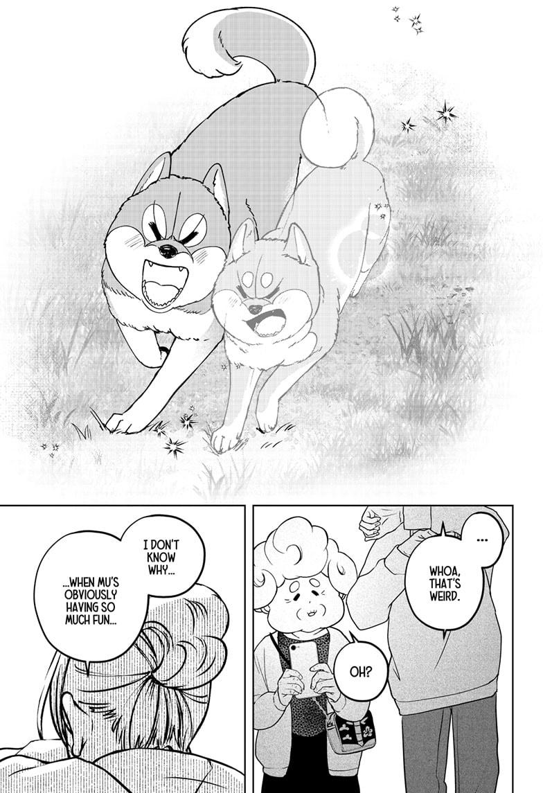 Shiba Inu Rooms Chap 43 - Next Chap 44