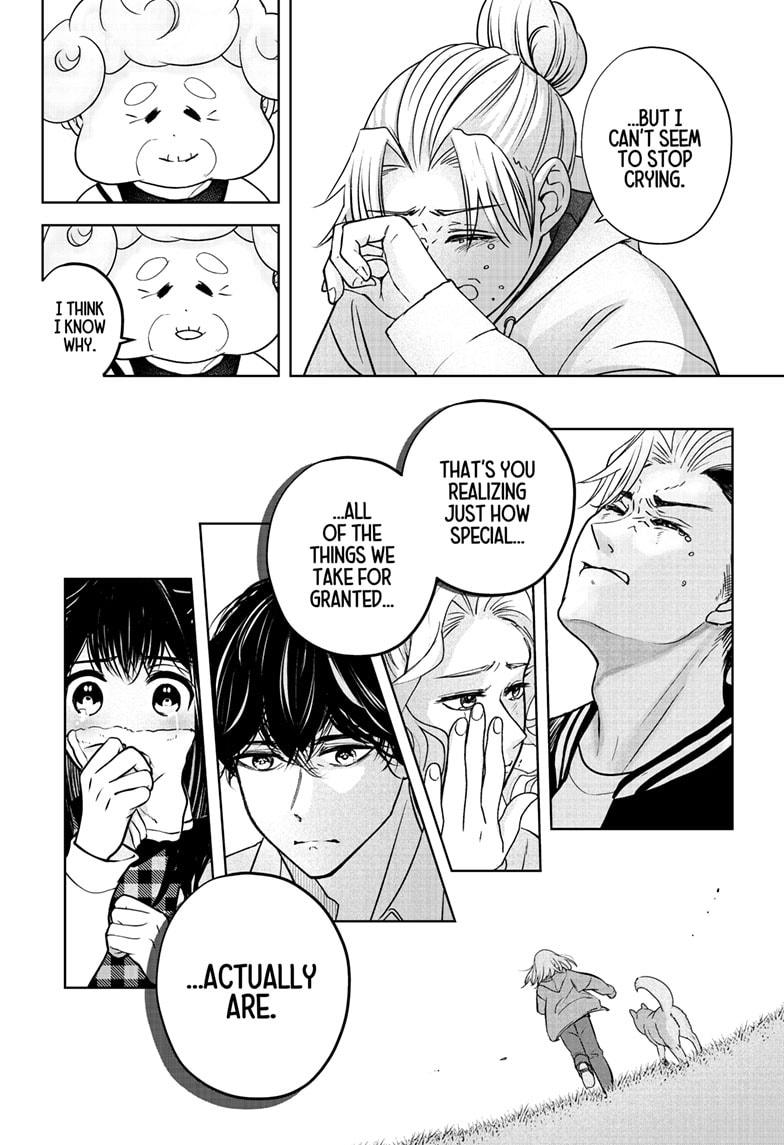 Shiba Inu Rooms Chap 43 - Next Chap 44