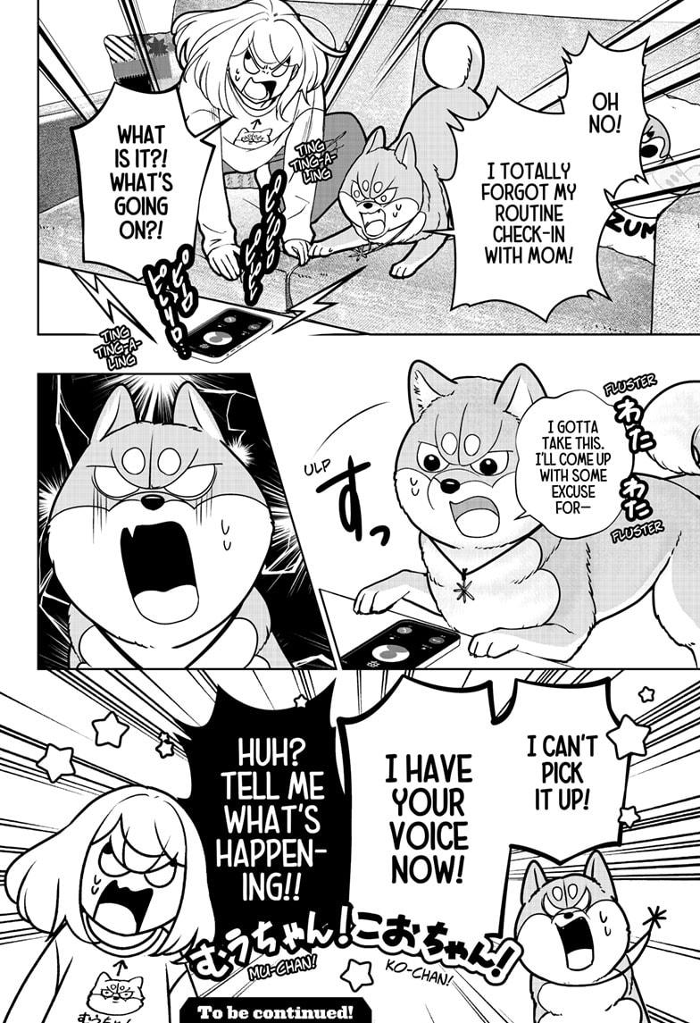 Shiba Inu Rooms Chap 43 - Next Chap 44