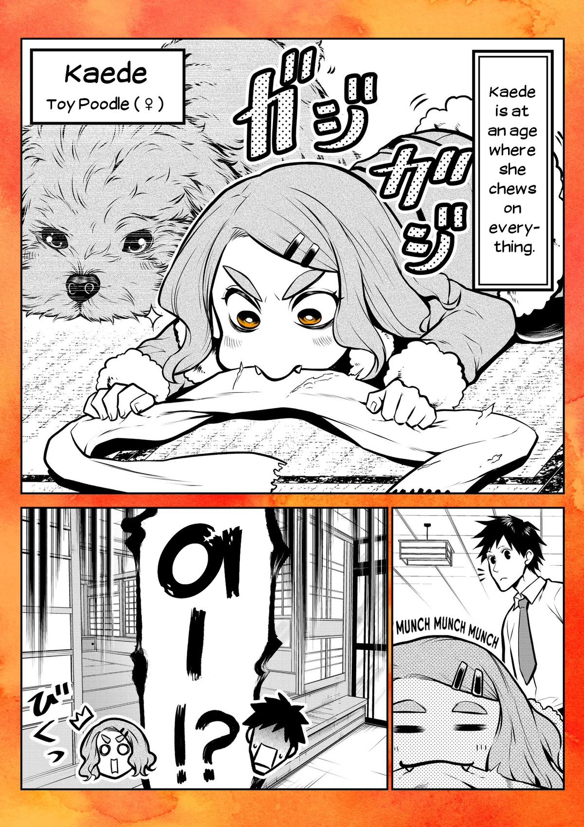 Ponta ga Hito ni Narimashite Chap 14.6 - Next Chap 15.6