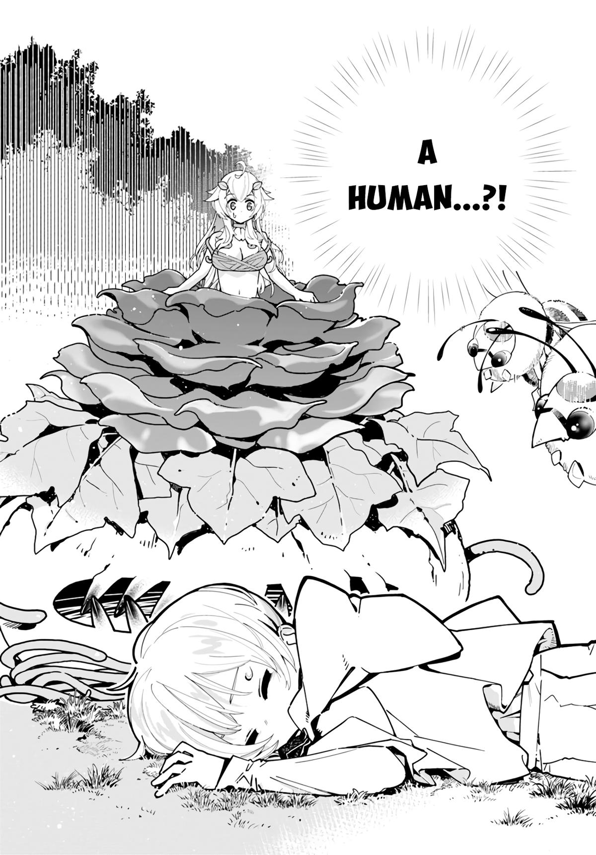 Plant Monster Girl Diary,Shokubutsu Monster Musume Nikki Chap 3 - Next Chap 4