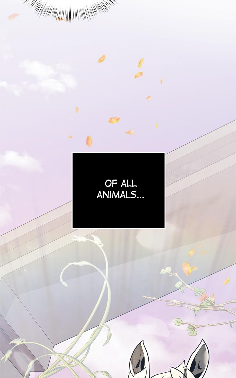 Time-Limited Genius Dark Knight Chap 9 - Next Chap 10