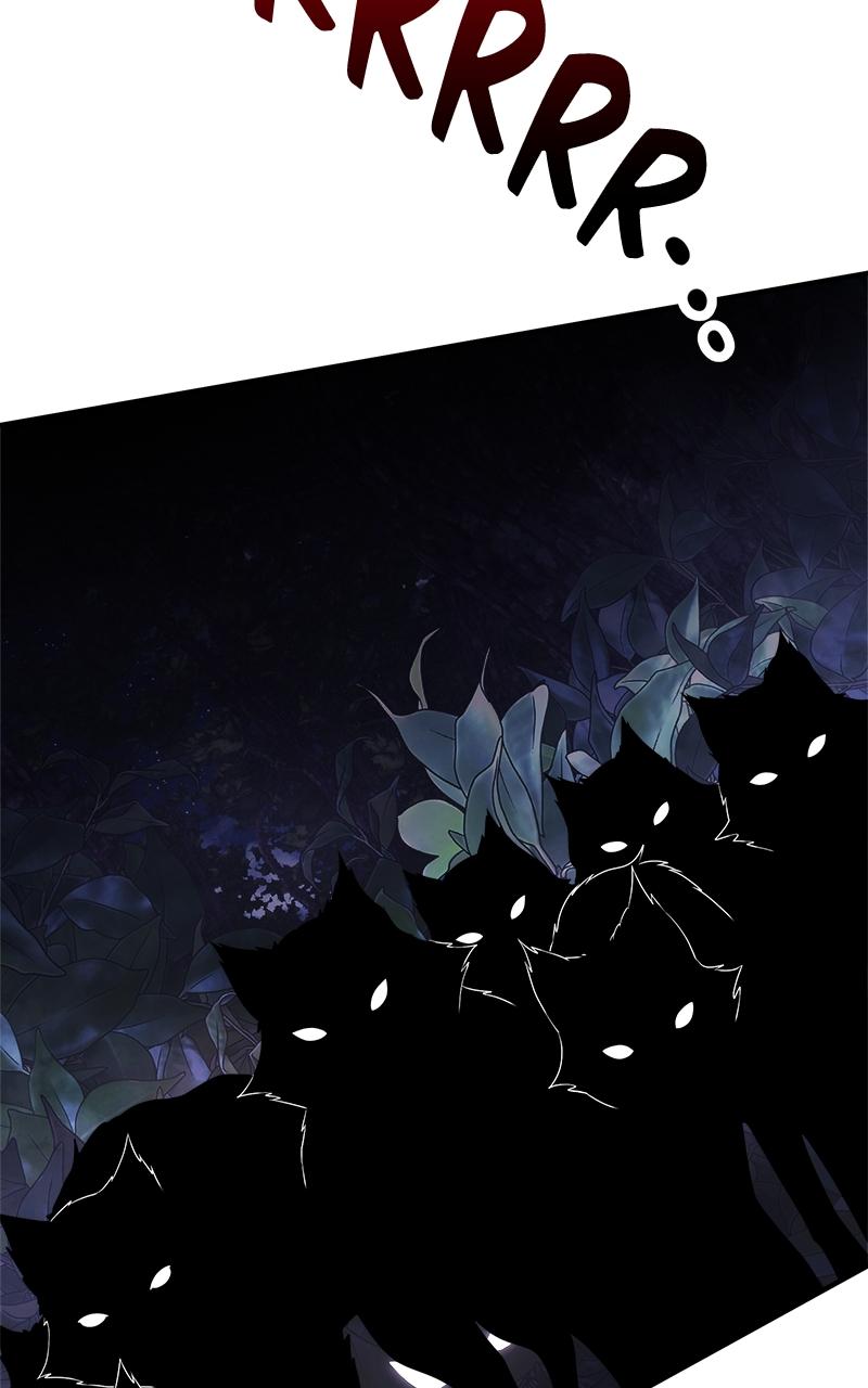 Time-Limited Genius Dark Knight Chap 11 - Next Chap 12