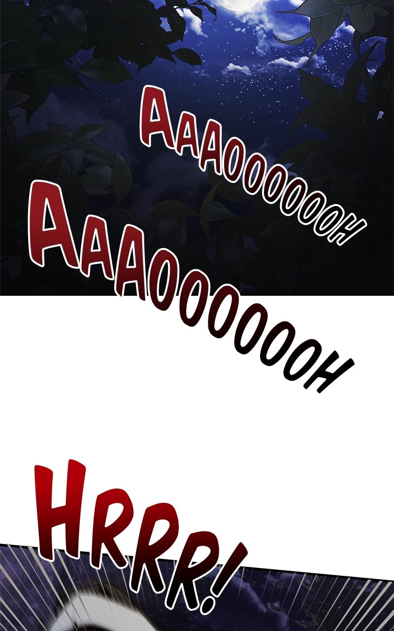 Time-Limited Genius Dark Knight Chap 11 - Next Chap 12