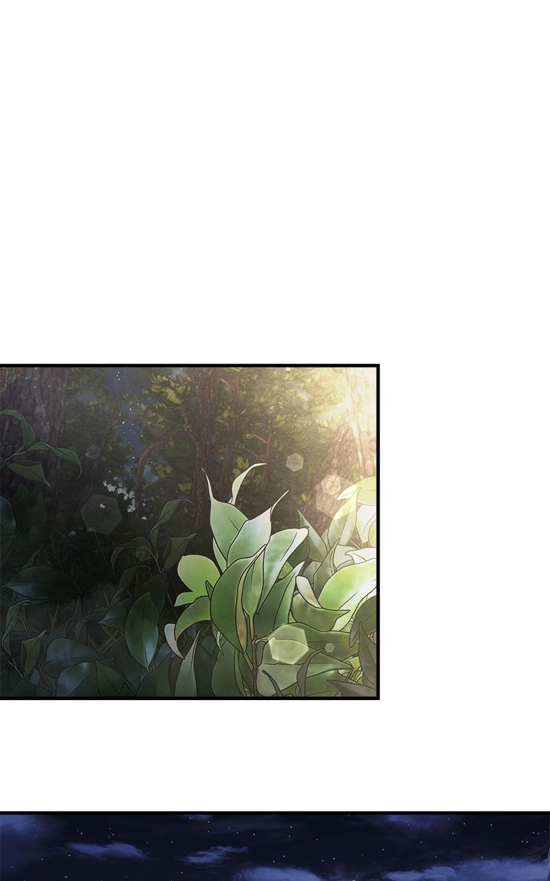 Time-Limited Genius Dark Knight Chap 12 - Next Chap 13