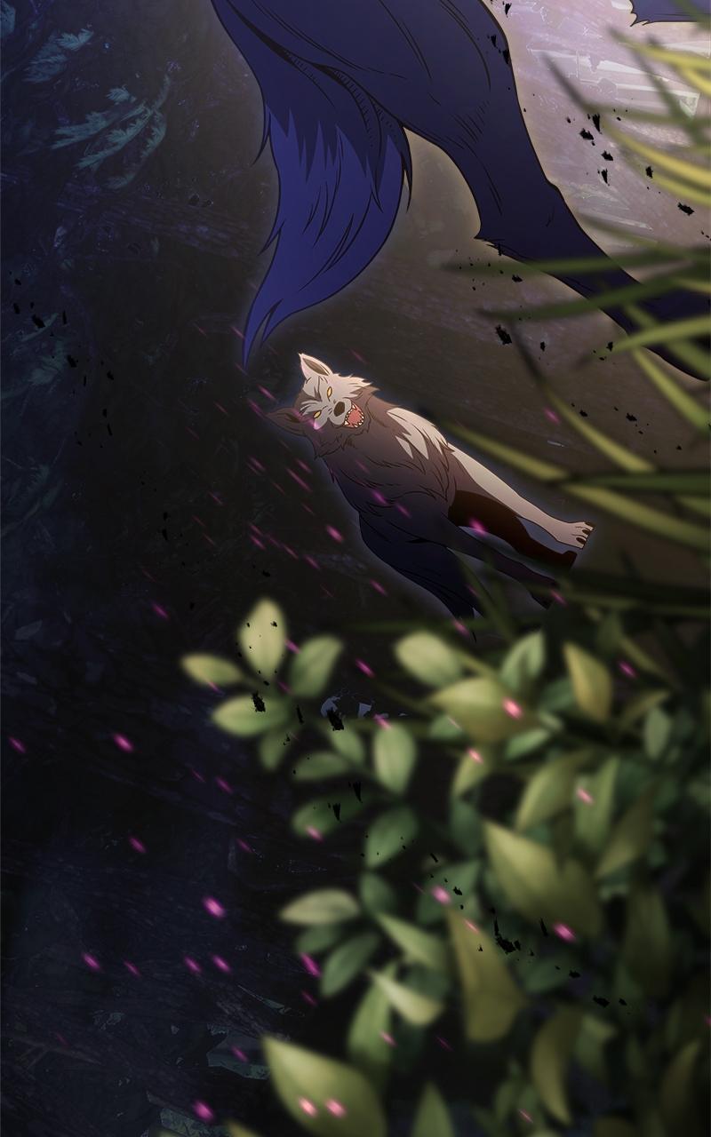 Time-Limited Genius Dark Knight Chap 12 - Next Chap 13