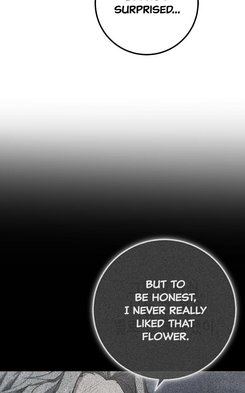 The Hammer Chap 18 - Next Chap 19