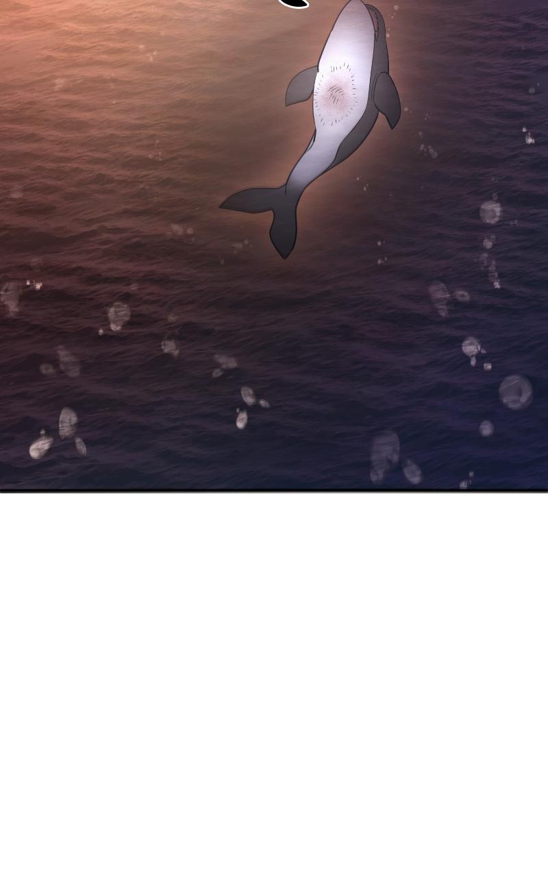The Hammer Chap 46 - Next Chap 47