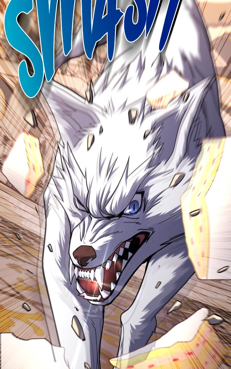 The Hammer Chap 67 - Next Chap 68