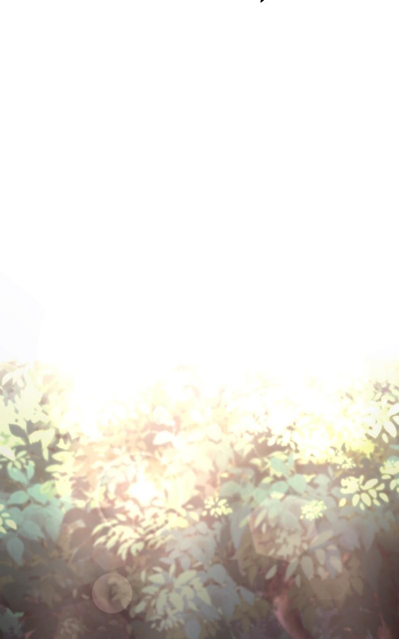 The Hammer Chap 86 - Next Chap 87