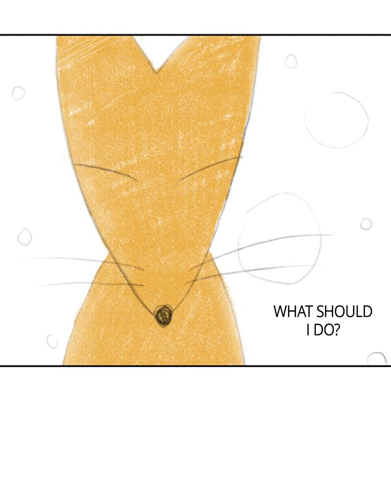 The Students of Illip Arts High Chap 31 - Next Chap 32