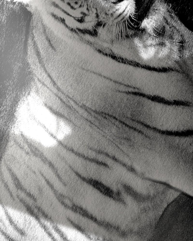 The Students of Illip Arts High Chap 58 - Next Chap 59