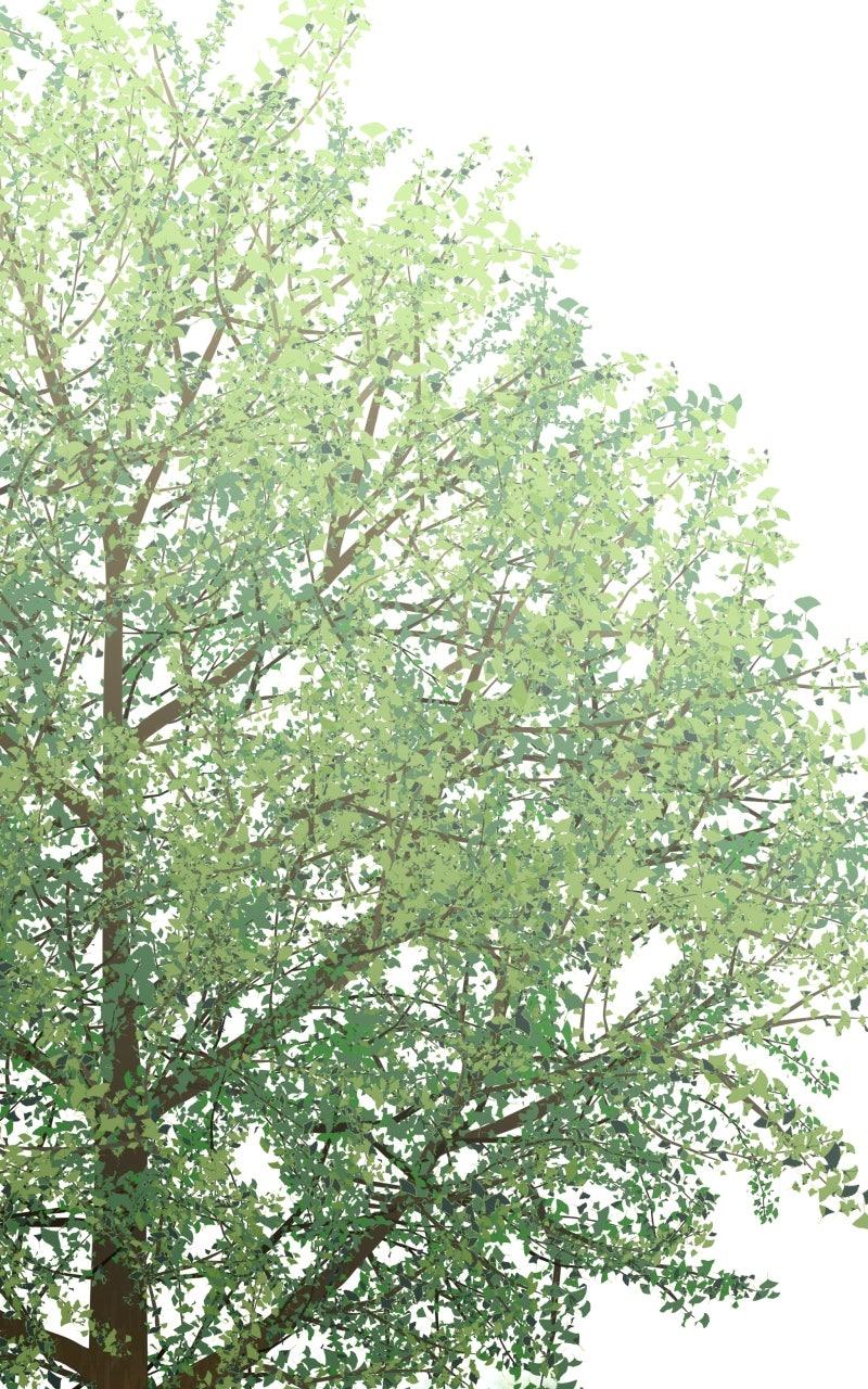 The Students of Illip Arts High Chap 78 - Next Chap 79